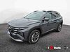 Hyundai TUCSON III 2024 Tucson 1.6 hev Business 2wd auto grey