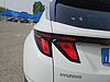 Hyundai TUCSON 1.6 HEV BUSINESS 2WD 215CV AUTO Bianco