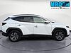 Hyundai TUCSON 1.6 HEV aut. XLine Bianco
