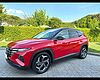 Hyundai TUCSON III 2021 Tucson 1.6 crdi 48V Exellence Lounge Pack 2wd dct red