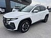 Hyundai TUCSON 1.6 T-GDI 48V DCT Business Bianco
