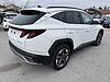 Hyundai TUCSON 1.6 CRDI 48V DCT Business Bianco