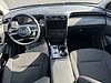 Hyundai TUCSON 1.6 HEV 4wd 230cv Exellence Auto TEAL