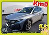 Hyundai TUCSON 1.6 CRDi MHEV 2wd 136cv Business DCT Argento